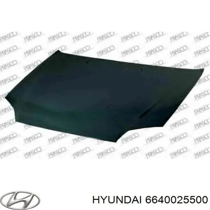 Maska silnika Hyundai/Kia 6640025500 cena, od 167,12 USD