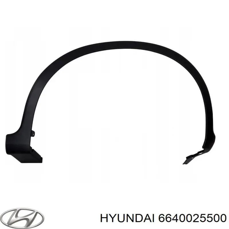 Do koszyka 6640025500 Hyundai/Kia Maska silnika