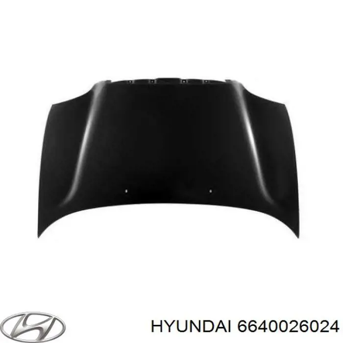 6640026024 Hyundai/Kia Maska silnika