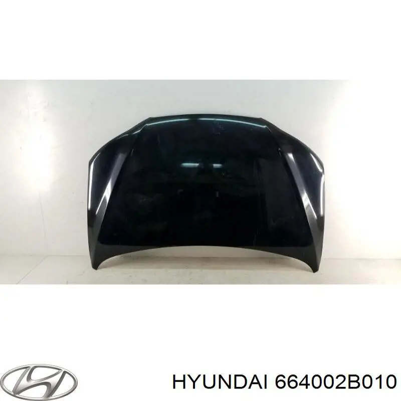 664002B010 Hyundai/Kia Maska silnika