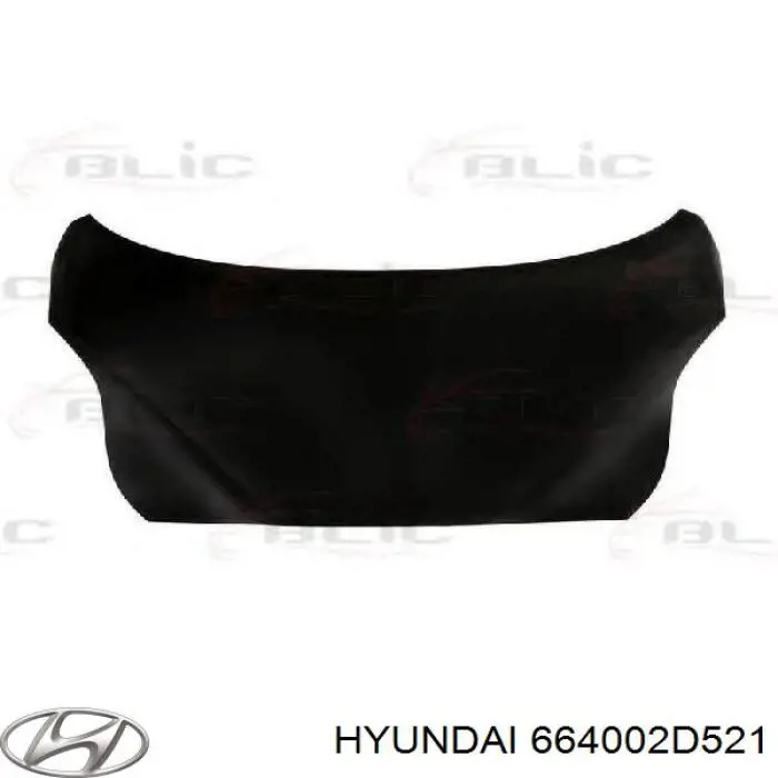 664002D521 Hyundai/Kia Maska silnika