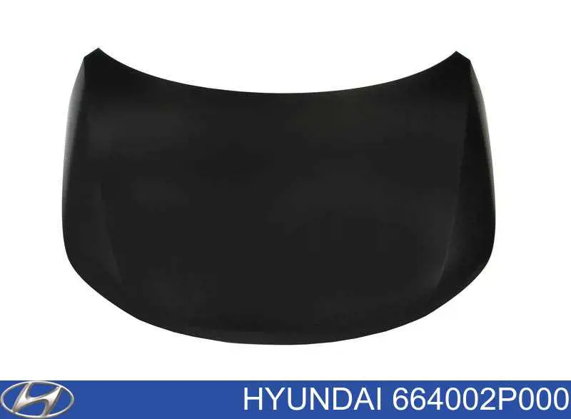 Maska silnika Hyundai/Kia 664002P000 cena, od 235,12 USD