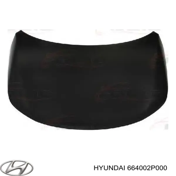 Do koszyka 664002P000 Hyundai/Kia Maska silnika
