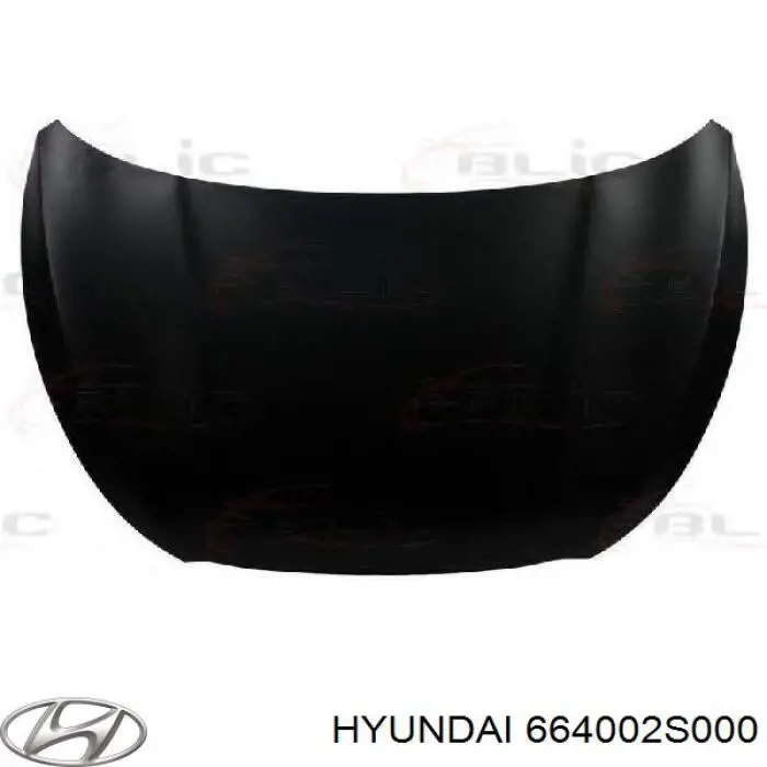 Maska silnika Hyundai/Kia 664002S000 cena, od 191,07 USD