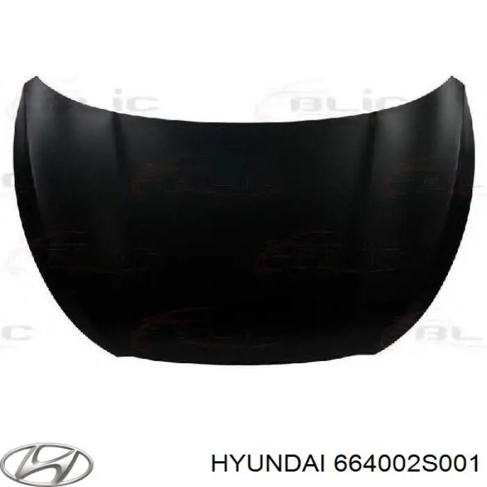 664002S001 Hyundai/Kia Maska silnika