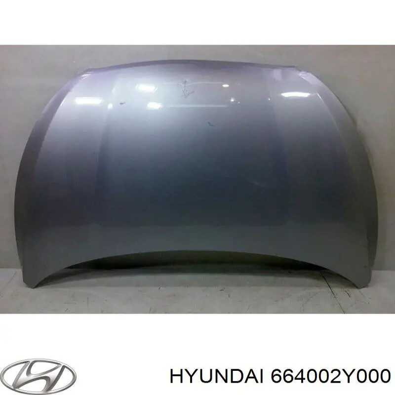664002Y000 Hyundai/Kia Maska silnika