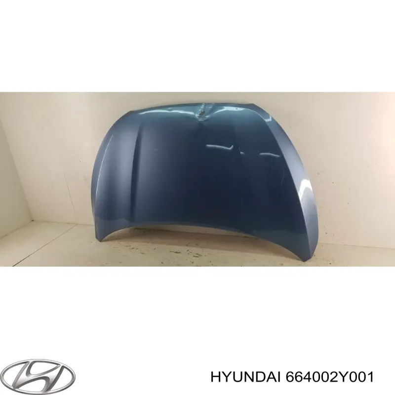 Maska silnika Hyundai/Kia 664002Y001 cena, od 258,06 USD