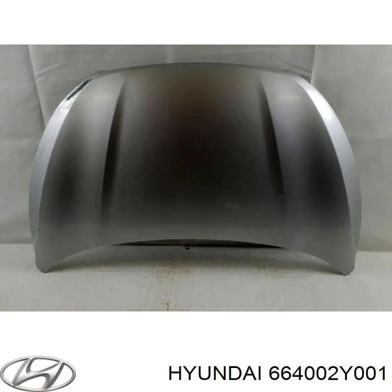 664002Y001 Hyundai/Kia Maska silnika