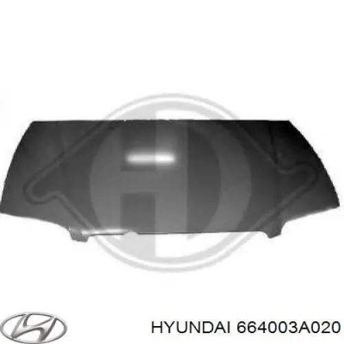 Maska silnika do Hyundai Trajet  FO