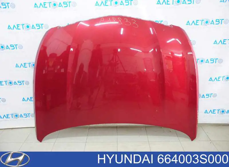 Maska silnika Hyundai/Kia 664003S000 cena, od 16,01 USD