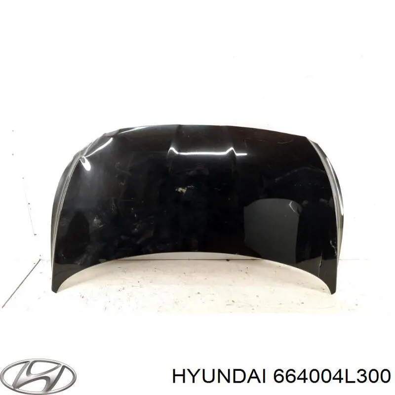 664004L300 Hyundai/Kia Maska silnika