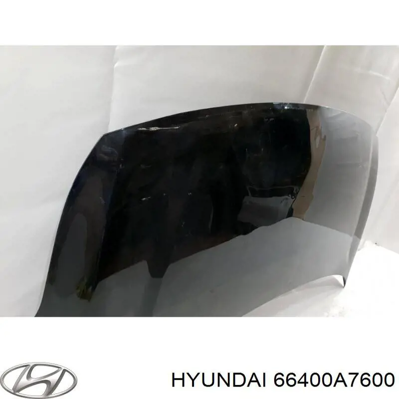 Do koszyka 66400A7600 Hyundai/Kia Maska silnika