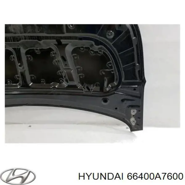 Do koszyka 66400A7600 Hyundai/Kia Maska silnika