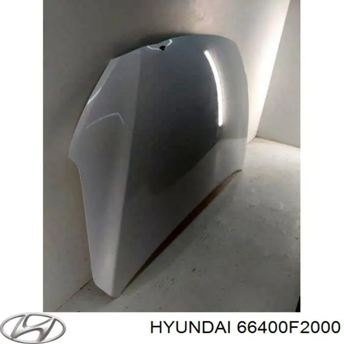Maska silnika Hyundai Elantra VI sedana (AD) (2015 - 2022) cena, od 203,51 USD