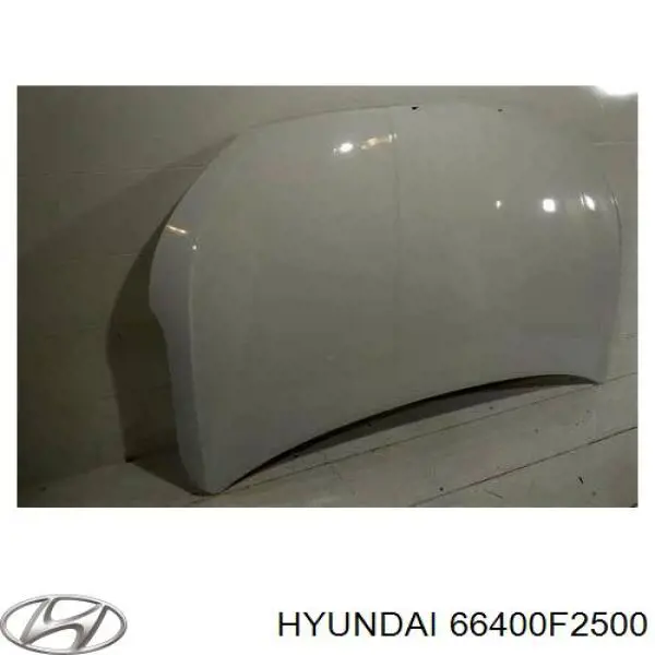 Maska silnika Hyundai/Kia 66400F2500 cena, od 206,84 USD