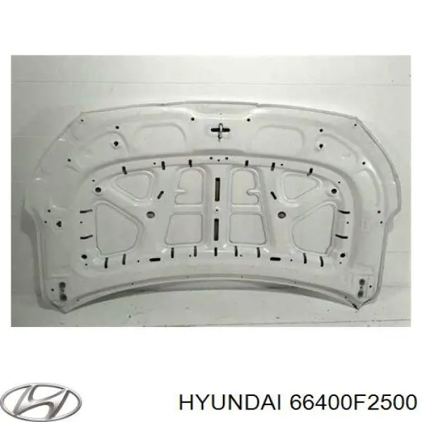 Do koszyka 66400F2500 Hyundai/Kia Maska silnika