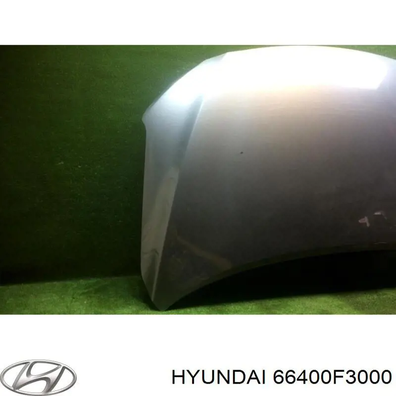 66400F3000 Hyundai/Kia Maska silnika