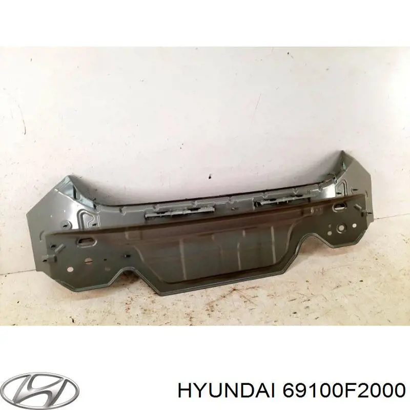69100F2000 Hyundai/Kia Panel bagażnika tylny