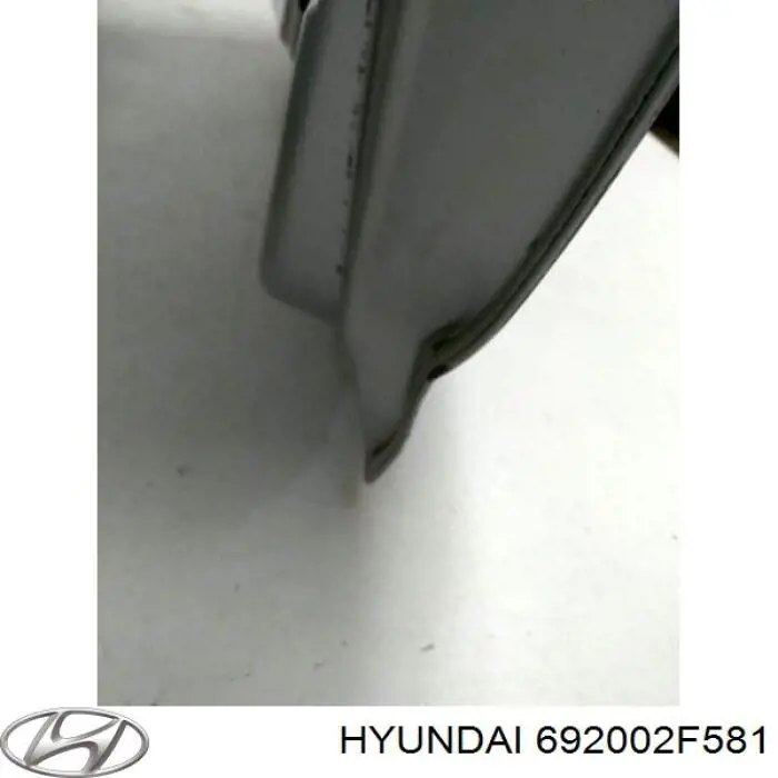 Do koszyka 692002F581 Hyundai/Kia Klapa bagażnika