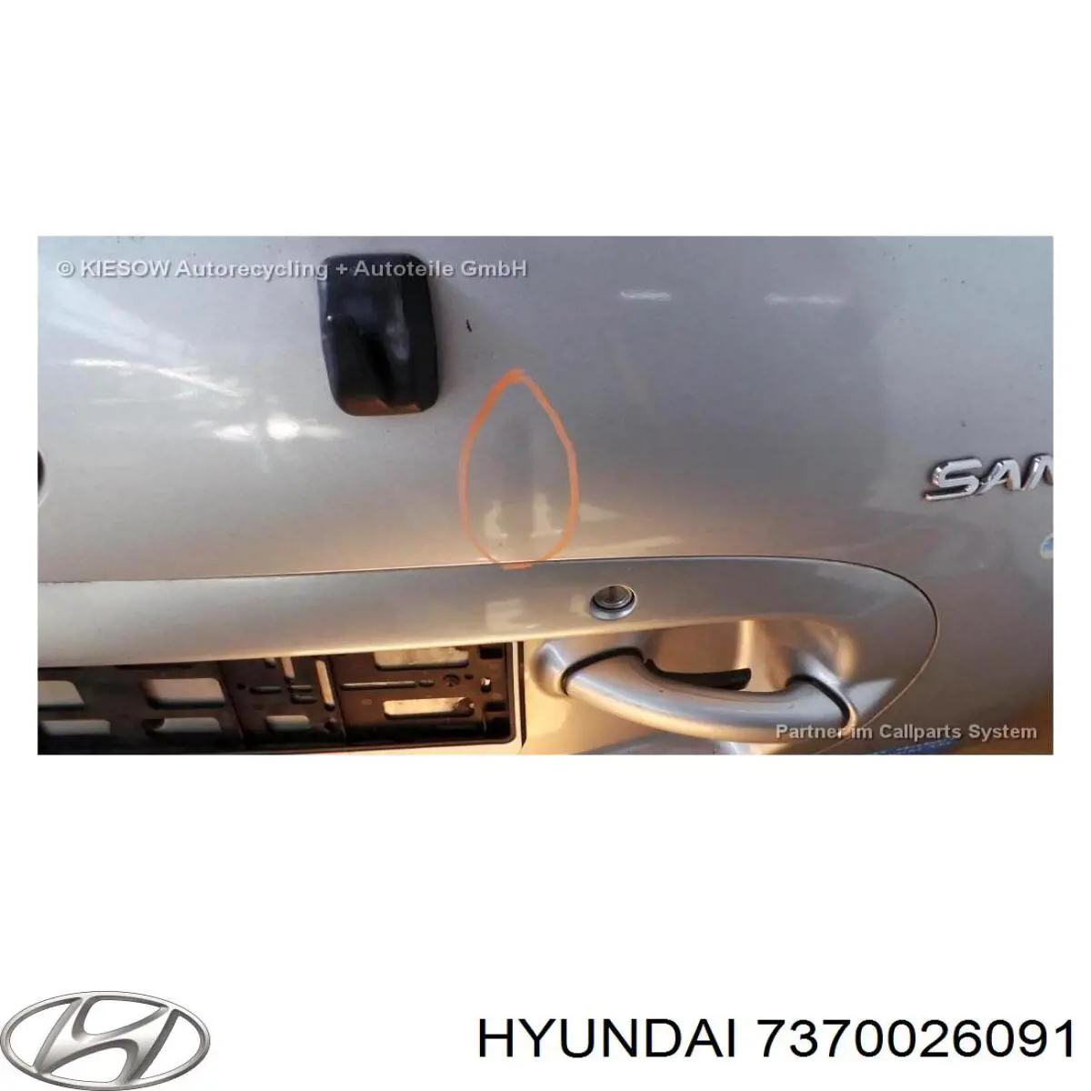 Drzwi tylne (bagażnika 3/5) Hyundai Santa Fe I SUV (SM) (2000 - 2006) cena, od 260,33 USD