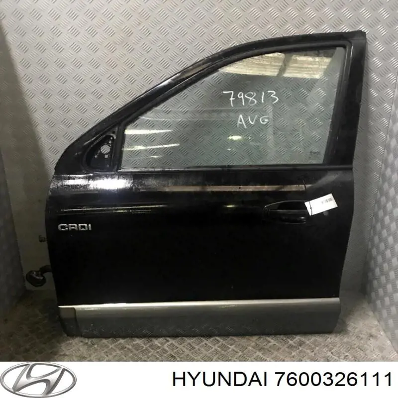Drzwi przednie lewe Hyundai Santa Fe I SUV (SM) (2000 - 2006) cena, od 203,77 USD