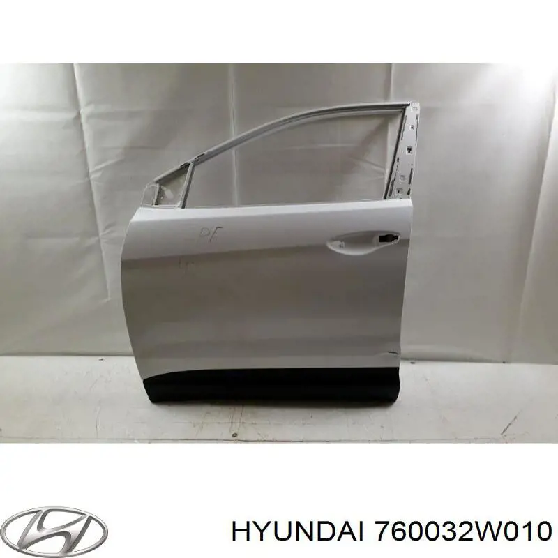 Drzwi przednie lewe do Hyundai Santa Fe III DM