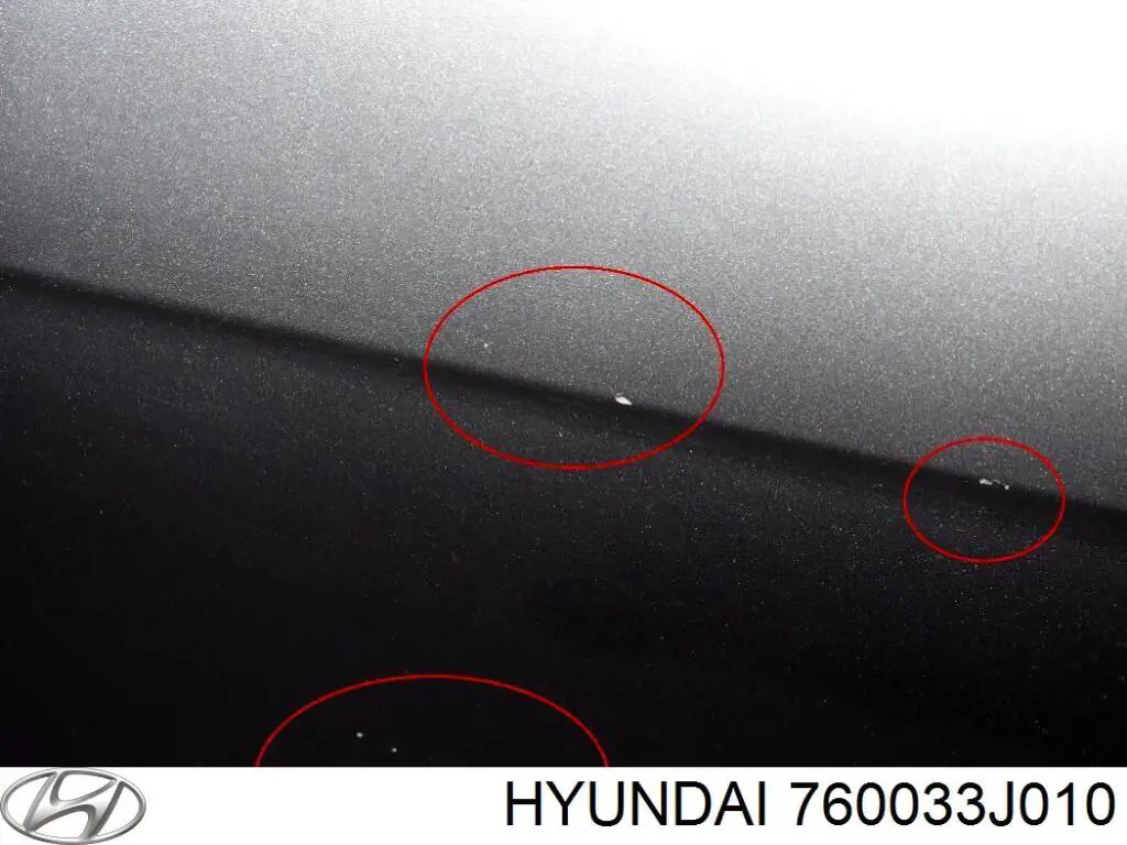 Do koszyka Drzwi przednie lewe Hyundai Veracruz  