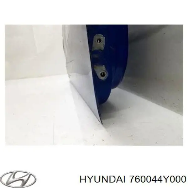 Do koszyka 760044Y000 Hyundai/Kia Drzwi przednie prawe