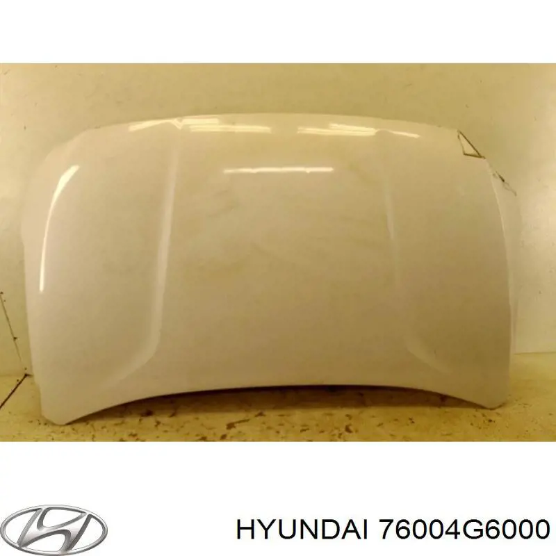 76004G6000 Hyundai/Kia Drzwi przednie prawe