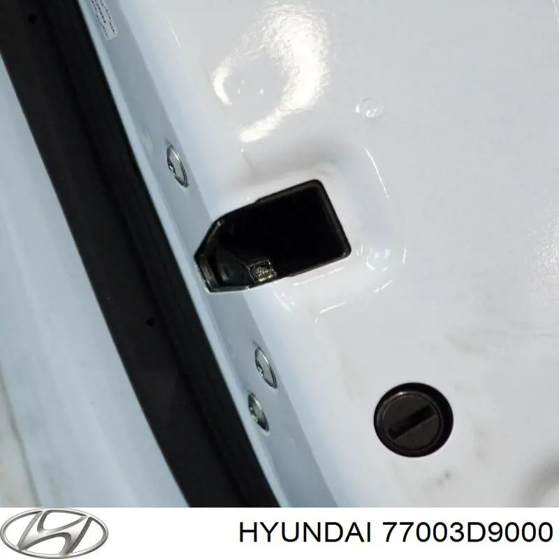 Do koszyka 77003D9000 Hyundai/Kia Drzwi tylne lewe