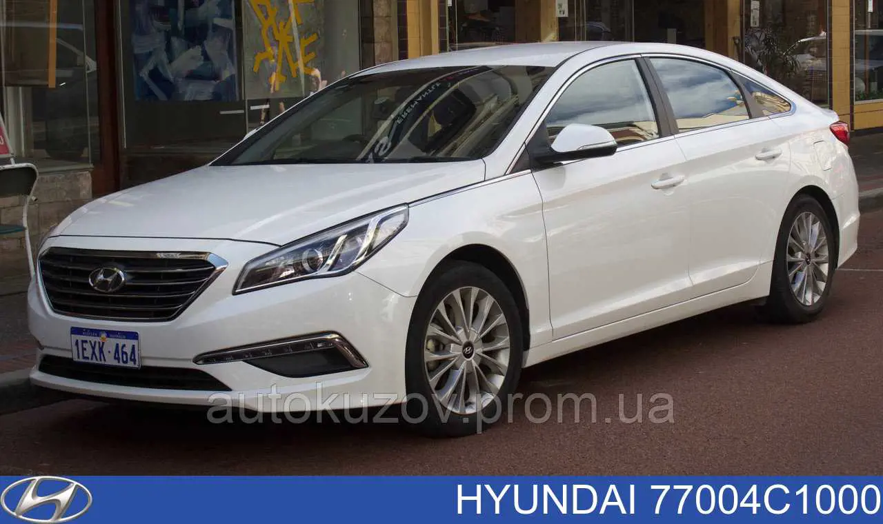 Drzwi tylne prawe Hyundai/Kia 77004C1000 cena, od 268,22 USD
