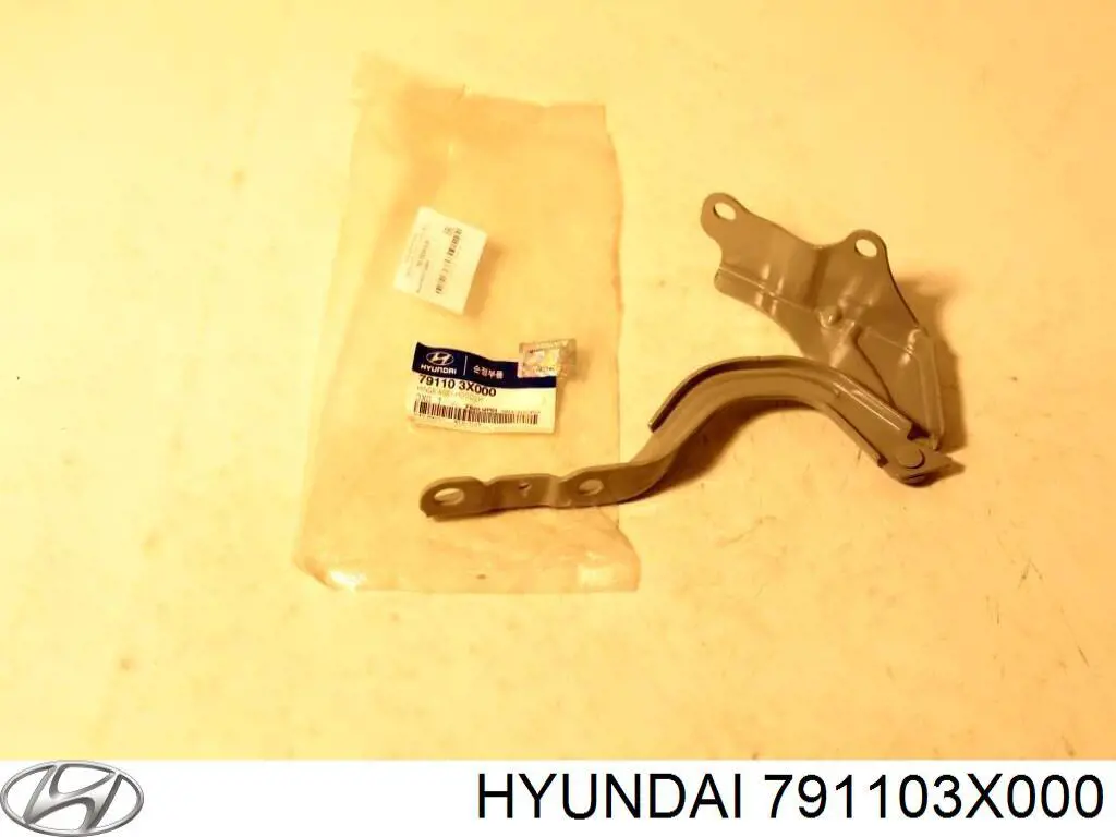 Zawias maski lewy Hyundai/Kia 791103X000 cena, od 13,86 USD