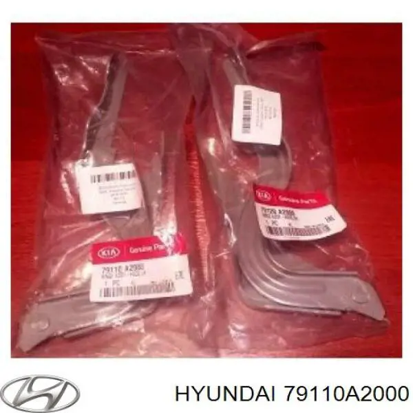 Zawias maski lewy Hyundai/Kia 79110A2000 cena, od 22,39 USD