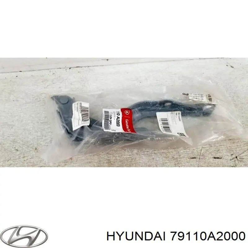 79110A2000 Hyundai/Kia Zawias maski lewy