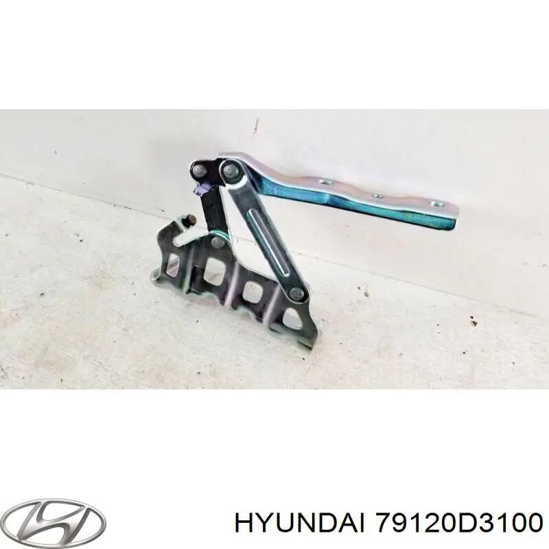 79120D3100 Hyundai/Kia Zawias maski prawy