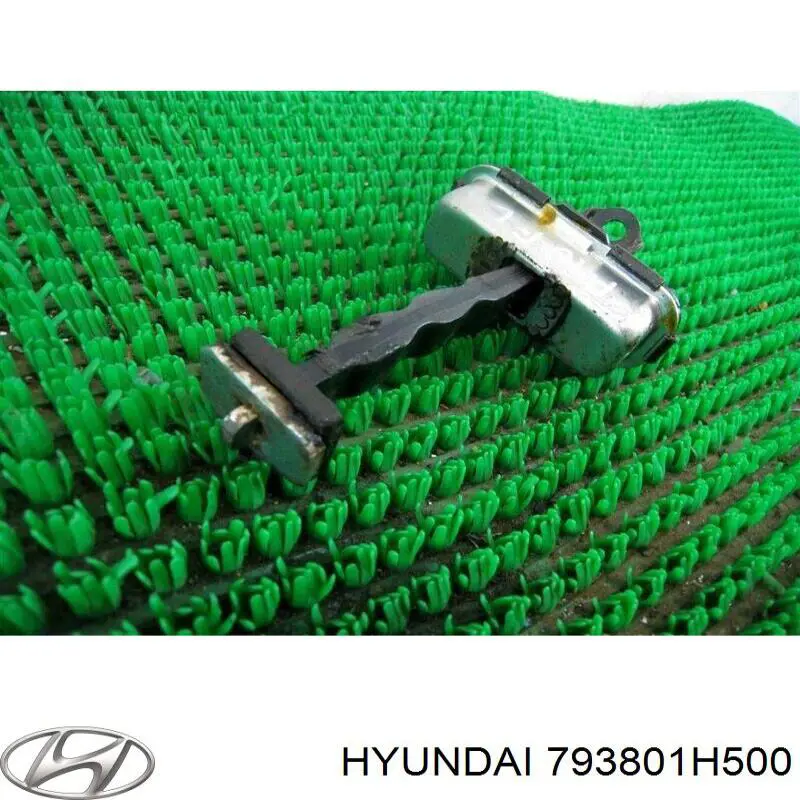 793801H500 Hyundai/Kia Ogranicznik drzwi przedni lewy