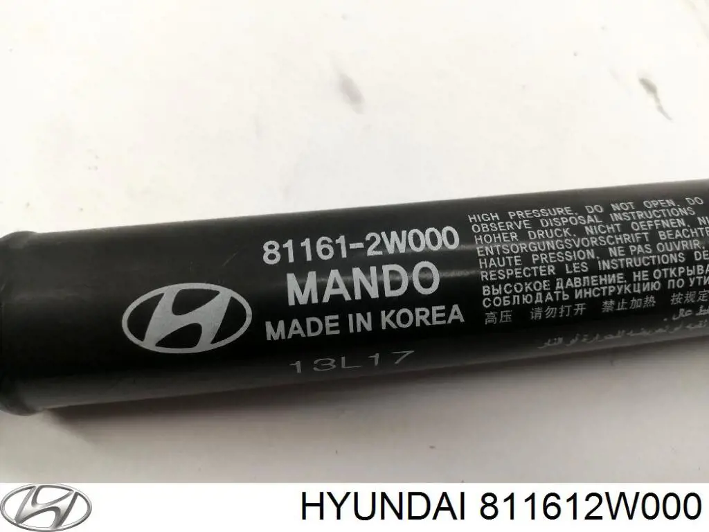 811612W000 Hyundai/Kia Amortyzator maski