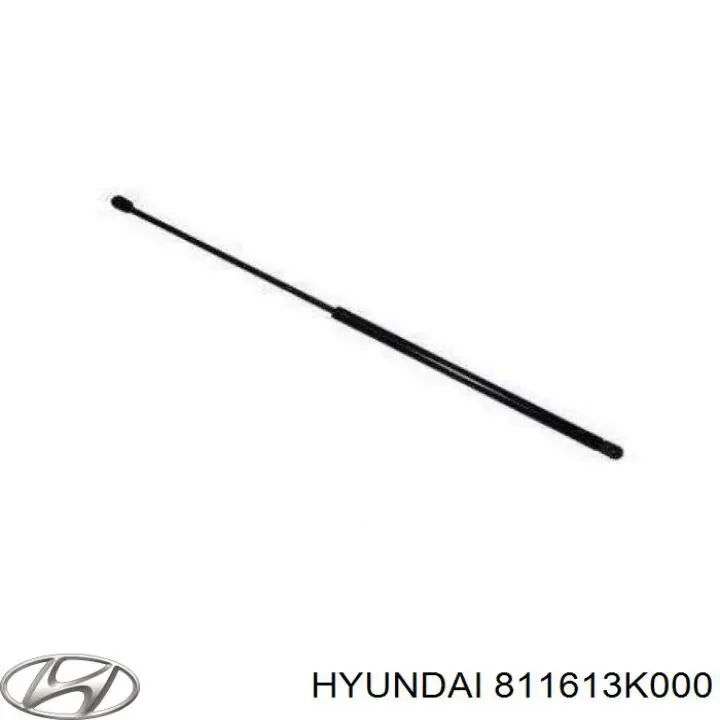 811613K000 Hyundai/Kia Amortyzator maski