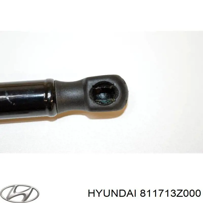 Do koszyka 811713Z000 Hyundai/Kia Amortyzator maski prawy = siłownik maski prawy