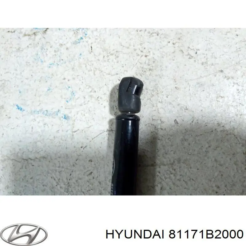 Amortyzator maski Hyundai/Kia 81171B2000 cena, od 34,05 USD