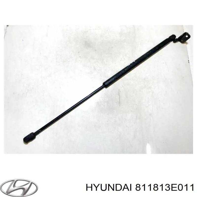 Amortyzator maski Hyundai/Kia 811813E011 cena, od 57,95 USD