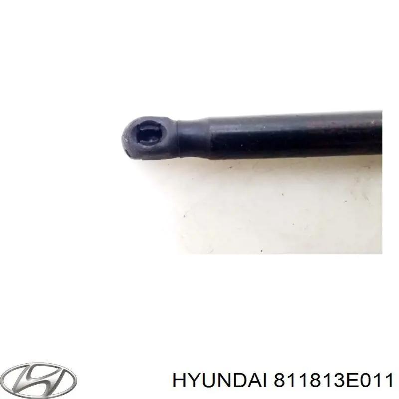 Do koszyka 811813E011 Hyundai/Kia Amortyzator maski