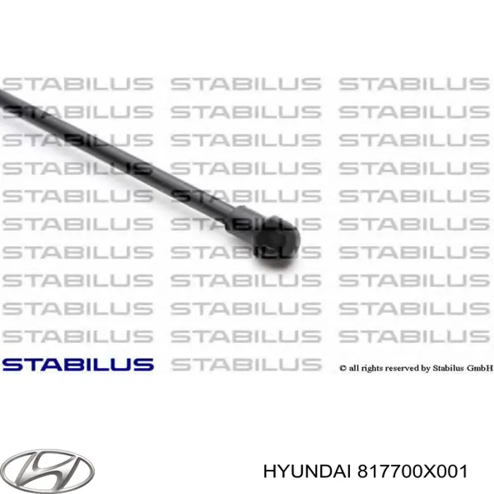 Amortyzator klapy bagażnika (3/5 drzwi-tylnych) Hyundai/Kia 817700X001 cena, od 16,40 USD