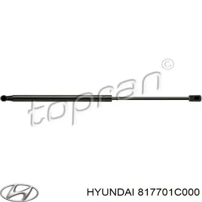 Amortyzator klapy bagażnika (3/5 drzwi-tylnych) Hyundai/Kia 817701C000 cena, od 14,96 USD