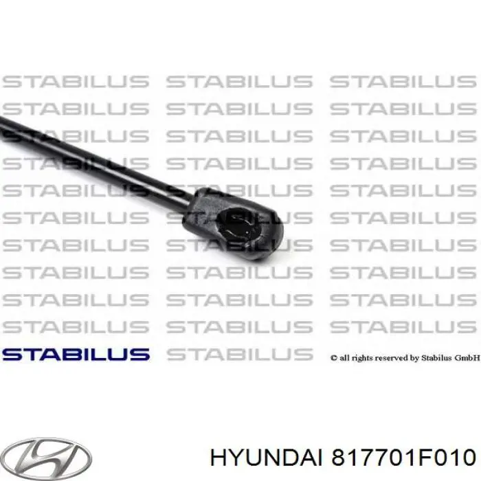 Do koszyka 817701F010 Hyundai/Kia Amortyzator klapy bagażnika (3/5 drzwi-tylnych)