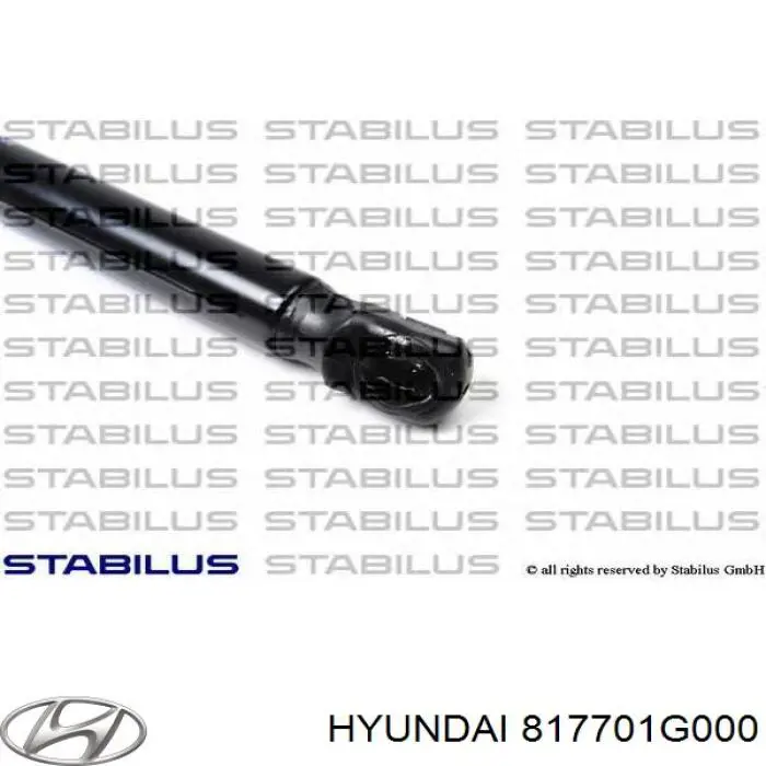 Do koszyka 817701G000 Hyundai/Kia Amortyzator klapy bagażnika (3/5 drzwi-tylnych)