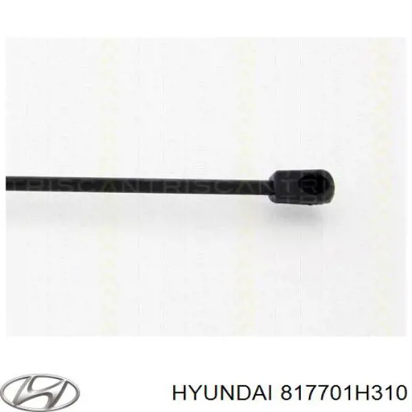Do koszyka 817701H310 Hyundai/Kia Amortyzator klapy bagażnika (3/5 drzwi-tylnych)