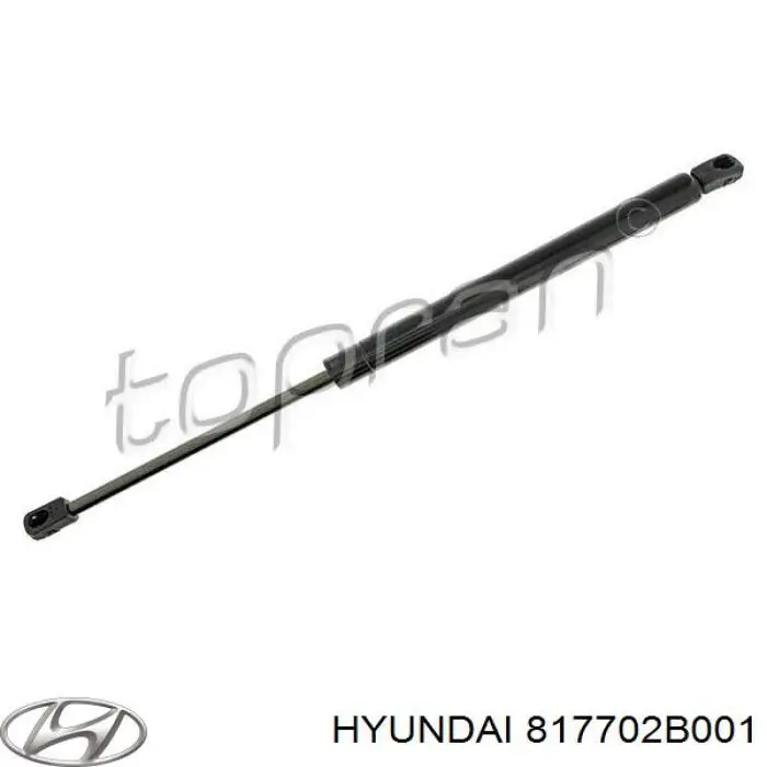 Amortyzator klapy bagażnika (3/5 drzwi-tylnych) Hyundai/Kia 817702B001 cena, od 13,65 USD
