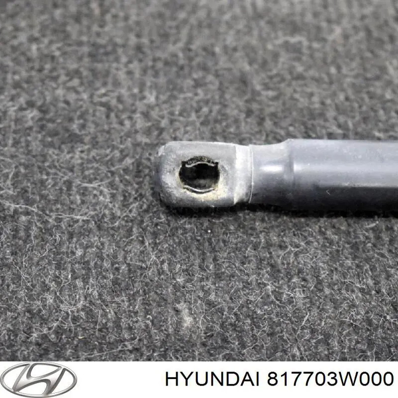 Amortyzator klapy bagażnika (3/5 drzwi-tylnych) Hyundai/Kia 817703W000 cena, od 16,77 USD
