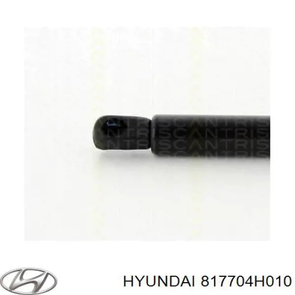 817704H010 Hyundai/Kia Amortyzator klapy bagażnika (3/5 drzwi-tylnych)